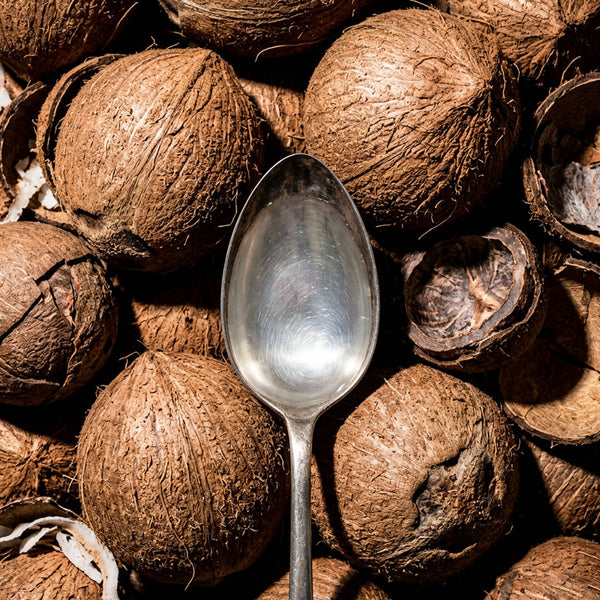 OIL SCHOOL: Coconut oil and the Indian South