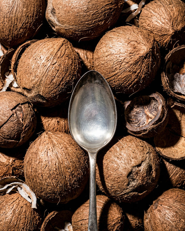OIL SCHOOL: Coconut oil and the Indian South